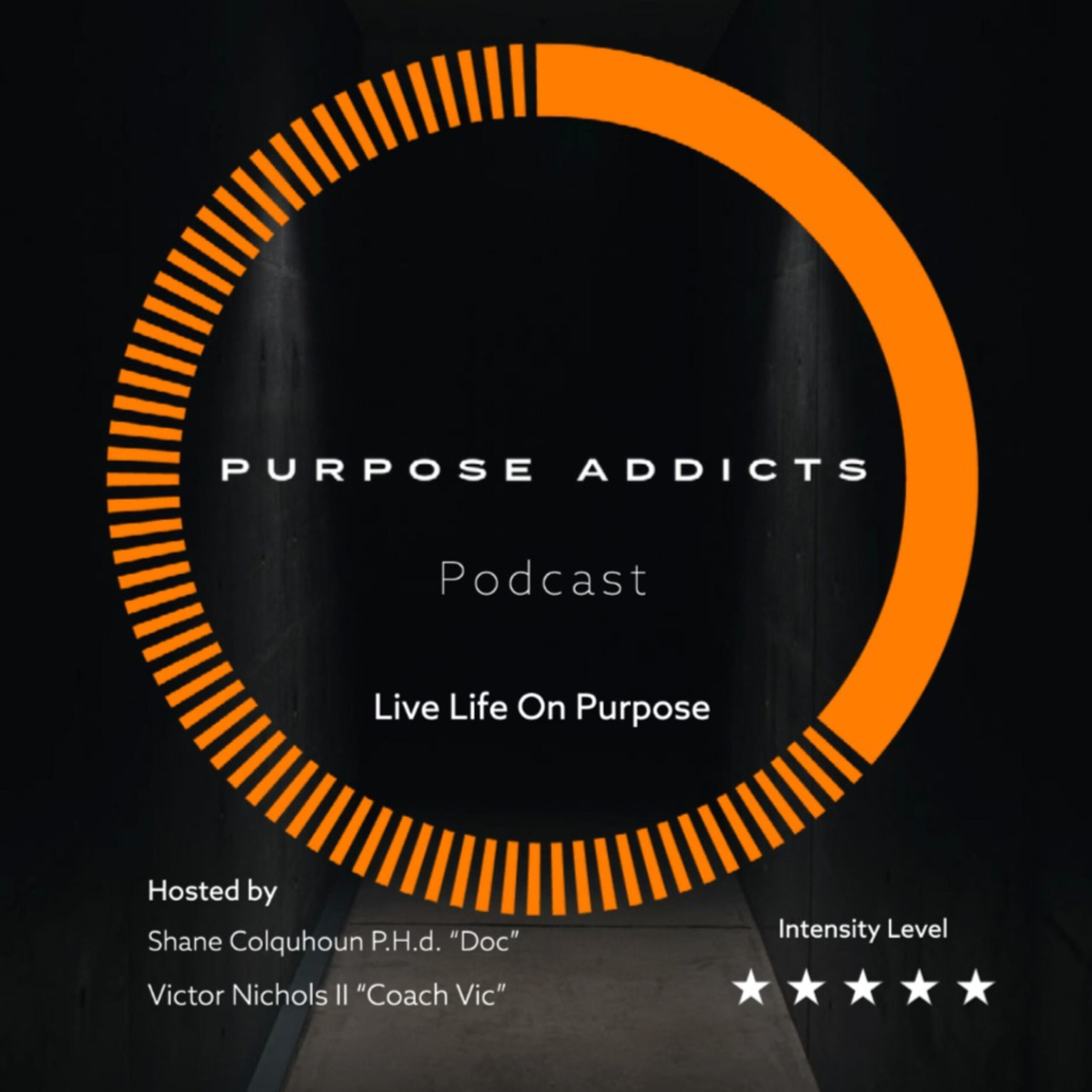 Ep 27 If You Can t Pay Cash You Can t Afford It Purpose Addicts Podcast